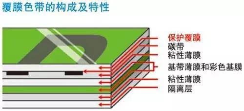 标签色带的结构