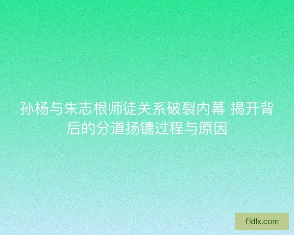 孙杨与朱志根师徒关系破裂内幕 揭开背后的分道扬镳过程与原因