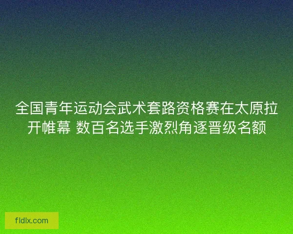 全国青年运动会武术套路资格赛在太原拉开帷幕 数百名选手激烈角逐晋级名额
