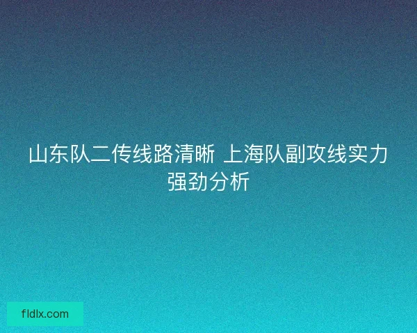 山东队二传线路清晰 上海队副攻线实力强劲分析